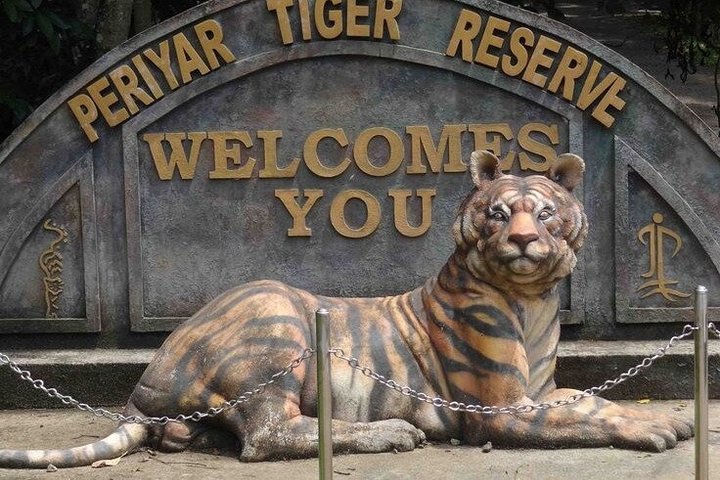 Thekkady Jeep safari and National Park Tour with Tea Tasting