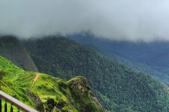 Thekkady Jeep safari and National Park Tour with Tea Tasting