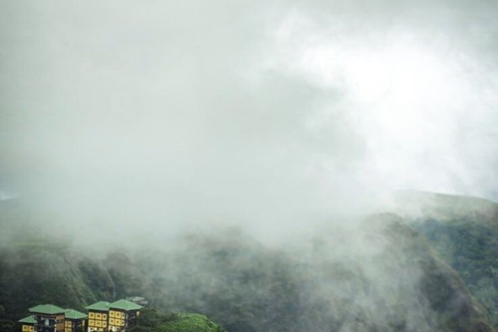 Thekkady Jeep safari and National Park Tour with Tea Tasting