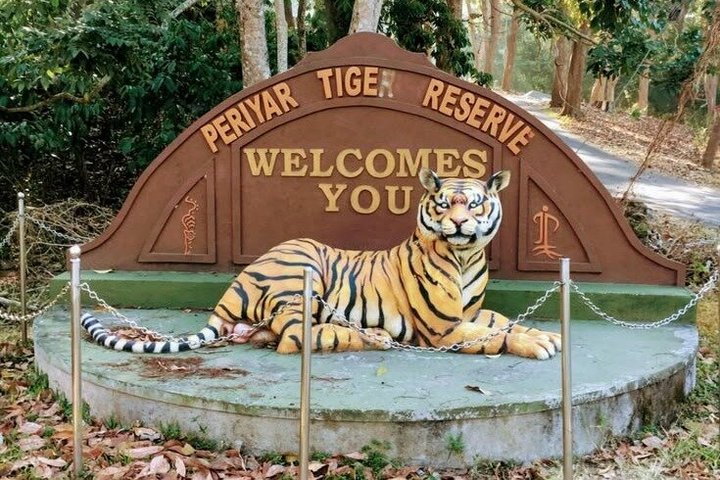 Thekkady Jeep safari and National Park Tour with Tea Tasting