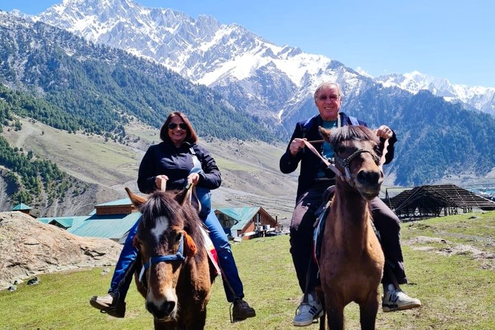 Sonamarg Day Tour to Meadows Glaciers Rivers and Valleys