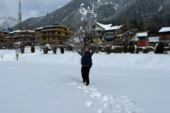 Pahalgam & Aru Valley Tour with Saffron & Apple Farms ex Srinagar