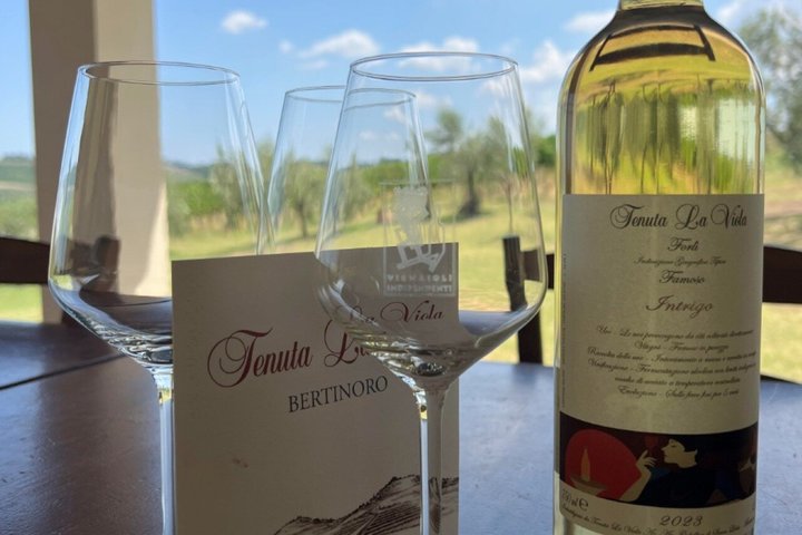 Discover Italian Wines at Tenuta La Viola with 6 Wine Tastings