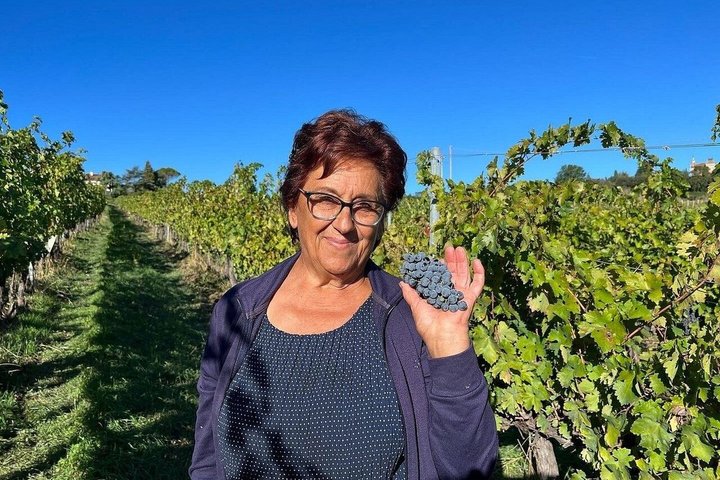 Discover Italian Wines at Tenuta La Viola with 6 Wine Tastings