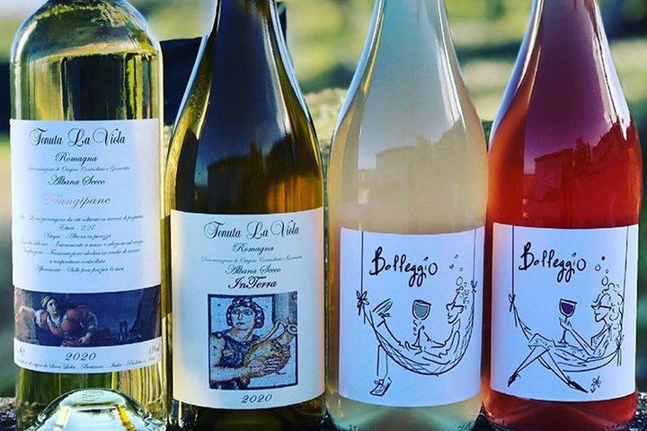 Discover Italian Wines at Tenuta La Viola with 6 Wine Tastings