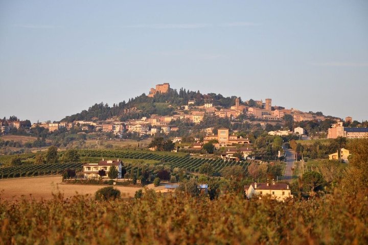 Discover Italian Wines at Tenuta La Viola with 6 Wine Tastings
