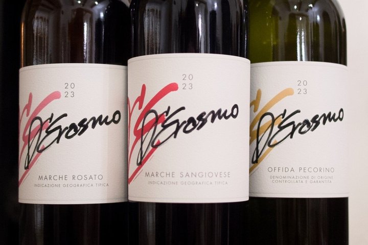 Visit and tasting at Erasmo Winery featuring signature wines