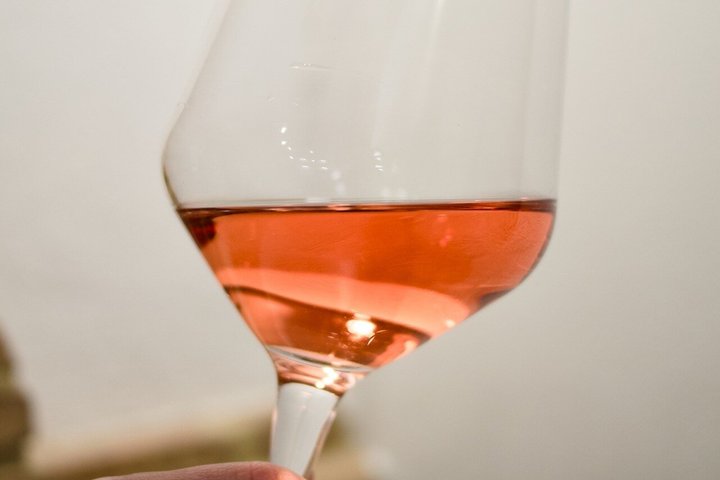 Visit and tasting at Erasmo Winery featuring signature wines