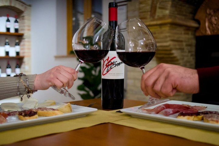 Visit and tasting at Erasmo Winery featuring signature wines