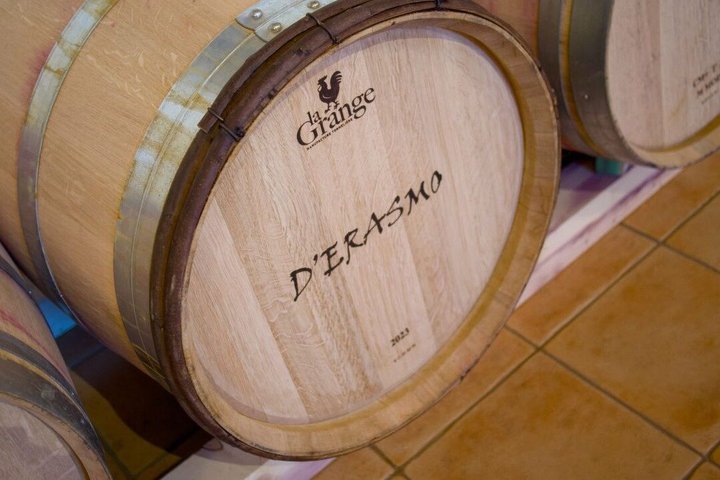 Visit and tasting at Erasmo Winery featuring signature wines