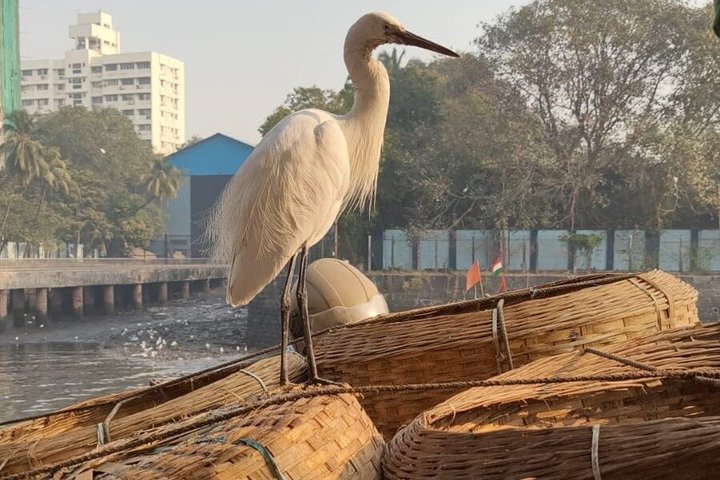 Private Mumbai at Dawn Tour by Car