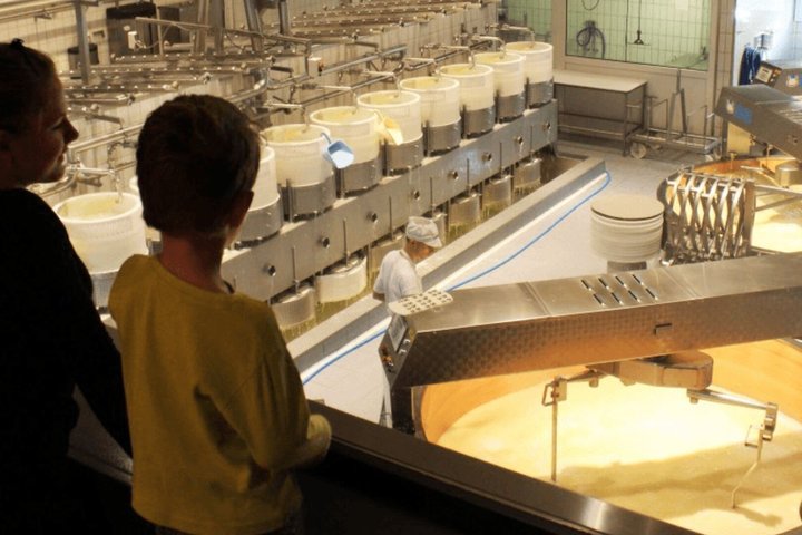Gruyeres Cheese Chocolate and Aliens Vibes