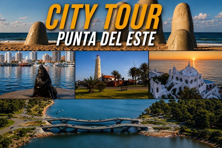 Discover Punta del Este: Private City Tour with a Local Guide