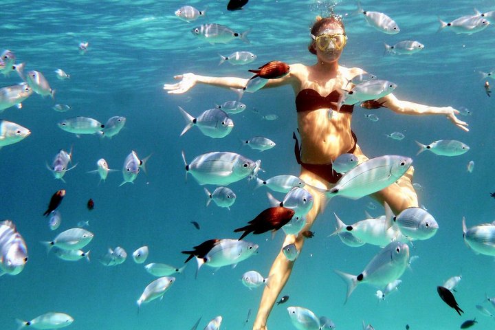 Kayak Tour to Maddalena and Caprera + Snorkeling and Typical Aperitif
