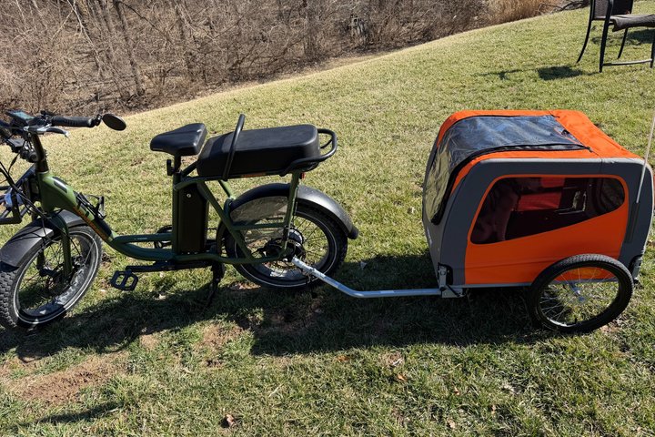 Forest Park E-Bike Tour with Optional Saint Louis Zoo Visit