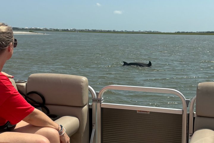 Private Folly Beach Dolphin Watching and Shelling tour
