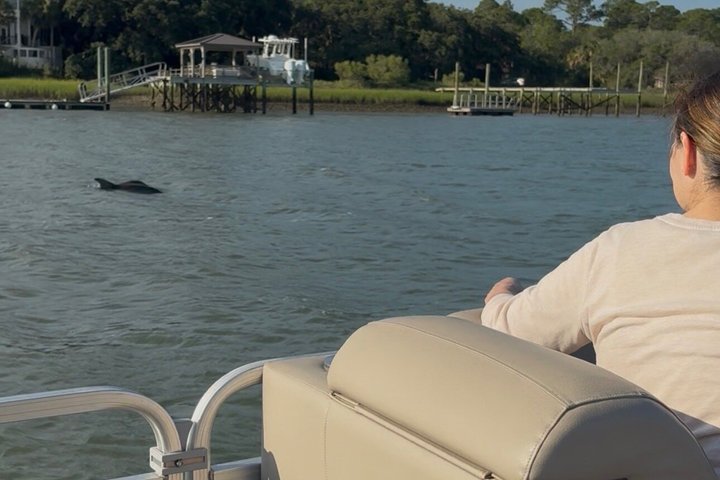 Private Folly Beach Dolphin Watching and Shelling tour