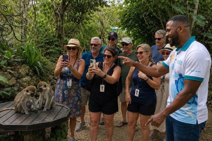 Private Full-Day Barbados Excursion