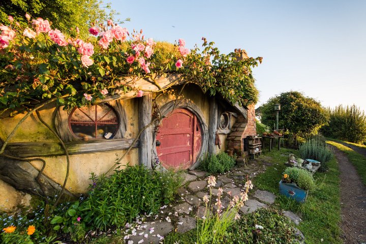 Hobbiton Movie Set Small Group Tour from Auckland