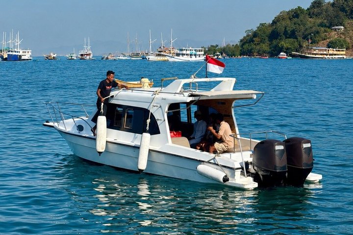 Early Morning Private Speedboat Tour to Komodo National Park