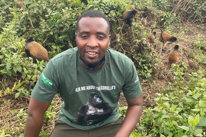Golden Monkey Trekking in Volcano National Park