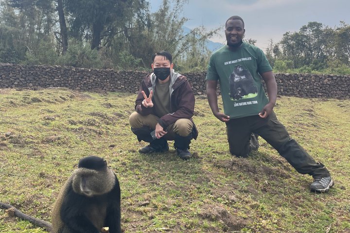 Golden Monkey Trekking in Volcano National Park