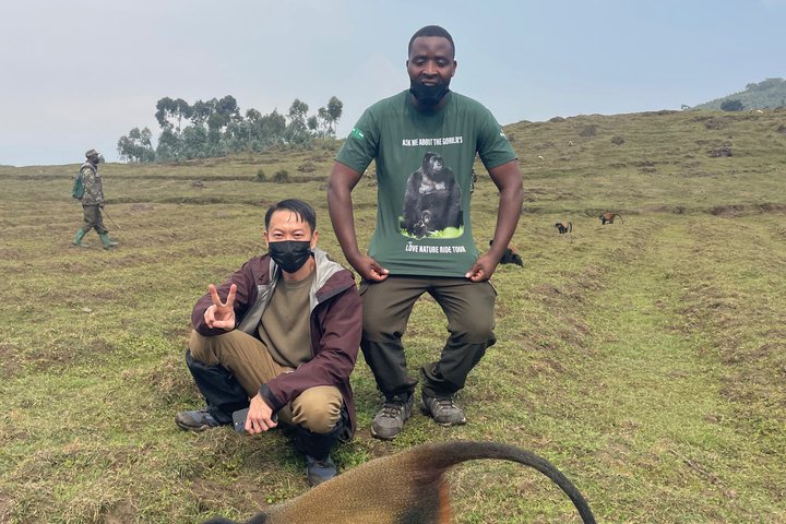 Golden Monkey Trekking in Volcano National Park