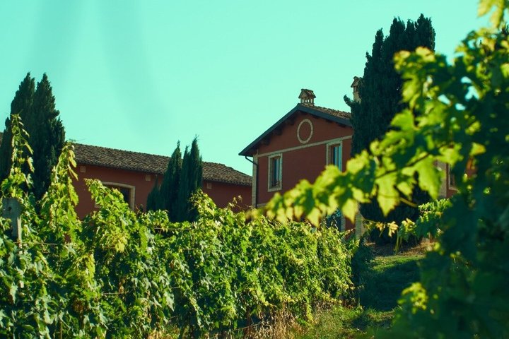 Wine & Local Flavors Tour with Tasting at Cantina D’Erasmo