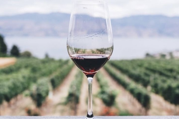 Wine & Local Flavors Tour with Tasting at Cantina D’Erasmo