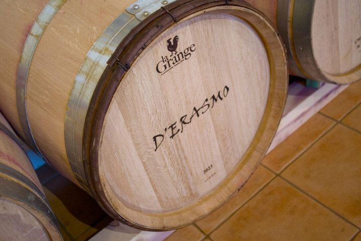Wine & Local Flavors Tour with Tasting at Cantina D’Erasmo