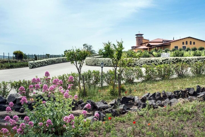 Explore volcanic tuff caves and taste Lucanian wines.