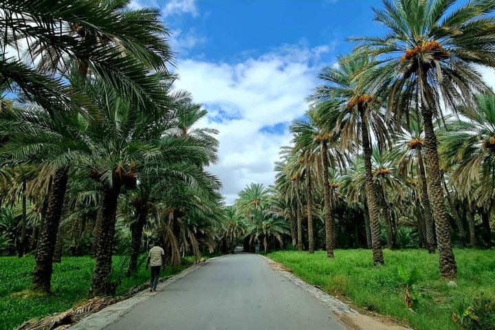 Shared Nizwa and Jebel Akhdar Tour from Muscat
