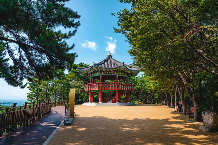 Busan Highlights in One Day: Small Group Tour (Max 6 Pax)