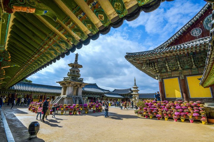 Gyeongju: Small Group Tour with Busan & Gyeongju Pick-up