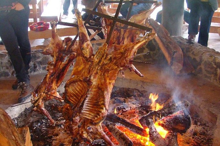 Cerro Castillo Horseback Ride & Patagonian BBQ