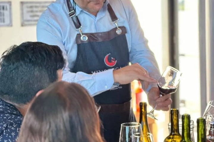 Wine and Cheese Tasting in Colonia del Sacramento