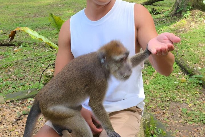Bohol Full Day Waterfall & Countryside Scooter Tour