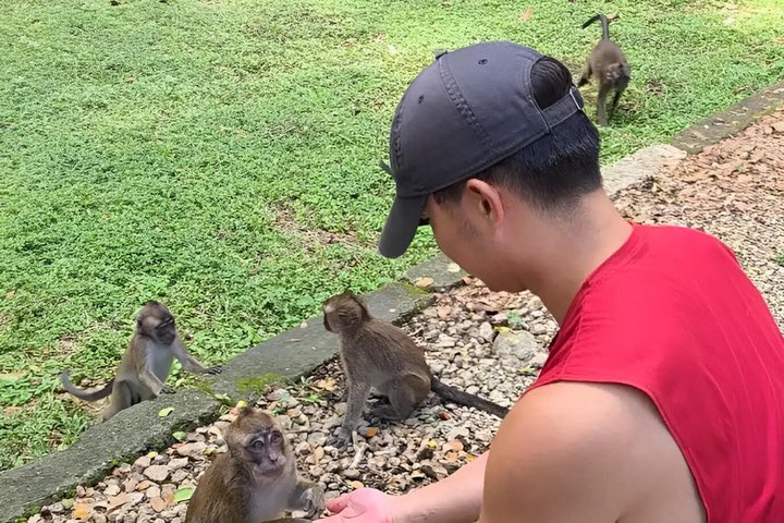 Bohol Full Day Waterfall & Countryside Scooter Tour