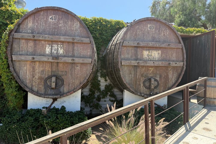 Private Deluxe Wine Tour to Valle de Guadalupe by Luxury Vehicle