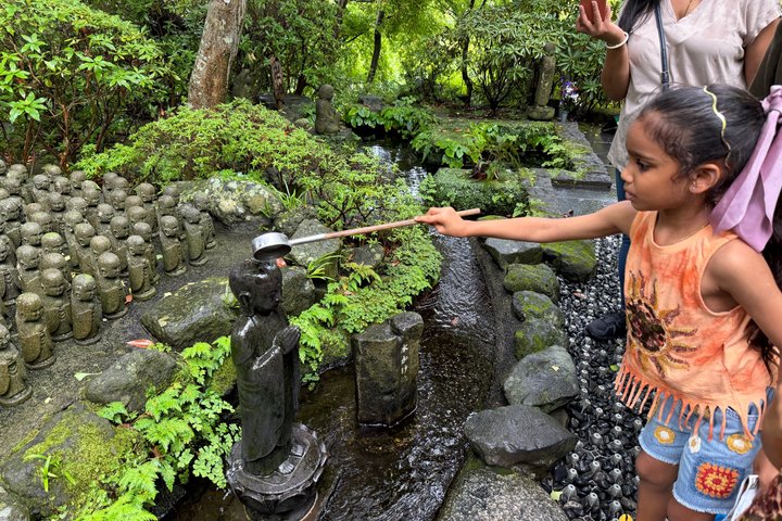 Half-Day Private & Customizable Tour with Kamakura-Born Guide
