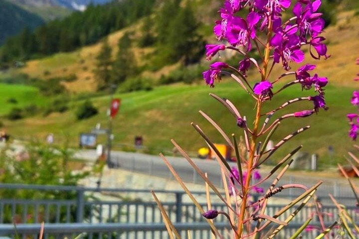 Lausanne: Day trip To Zermatt & Matterhorn with Skyglass bus