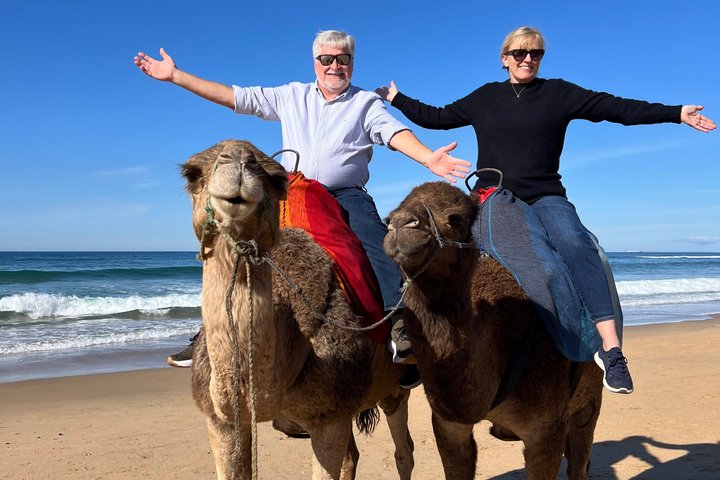 Tangier Shore Excursion Tailored for Cruise Passengers⁠