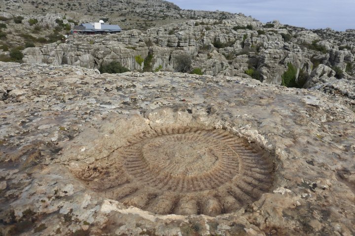 Private Guided Tour to Torcal de Antequera