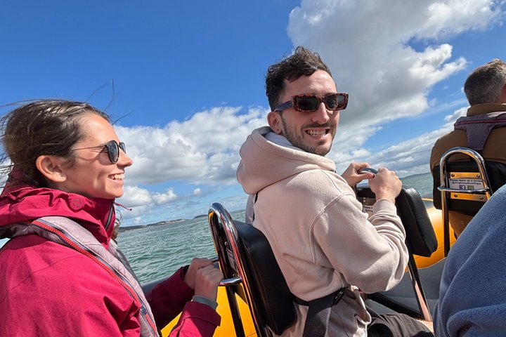 Anglesey Wildlife Boat Trips to Puffin Island