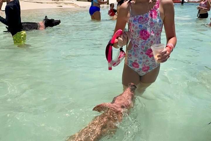 Rose Island Swimming Pigs & Beach Snorkeling Experience Nassau.