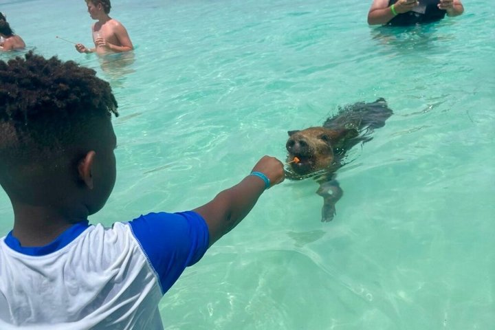 Rose Island Swimming Pigs & Beach Snorkeling Experience Nassau.
