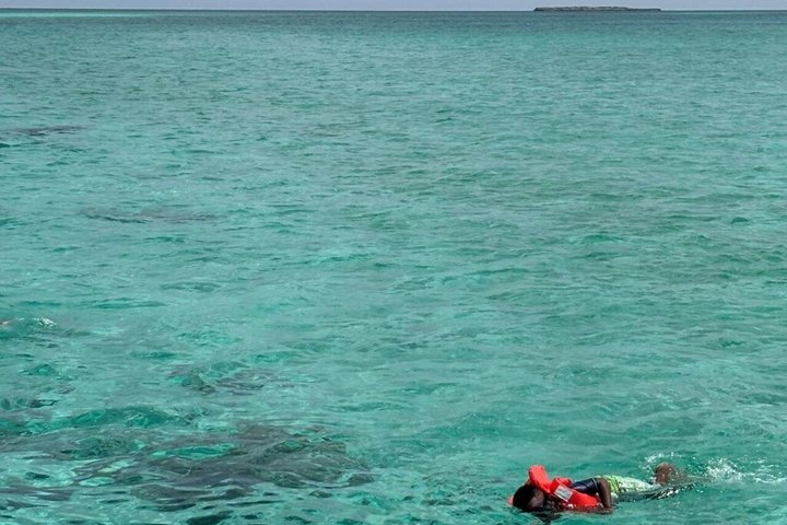 Rose Island Swimming Pigs & Beach Snorkeling Experience Nassau.