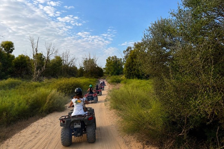 Hammamet : Quad adventure through the hills