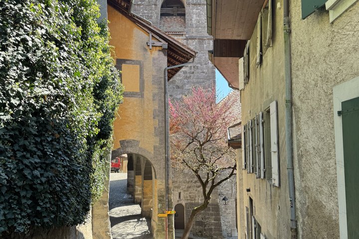 Private Lavaux Vineyard Tour with Wine Tasting and Scenic Views