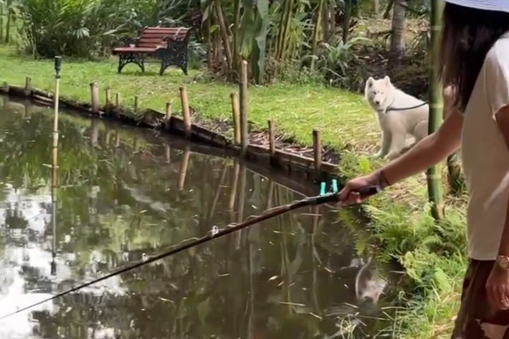 Private Fishing Experience in Colombia Coffee Region